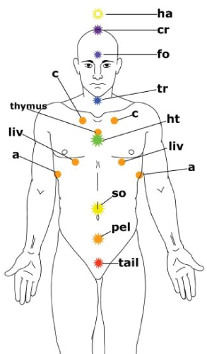 face-and-body-points-quantum-techniques