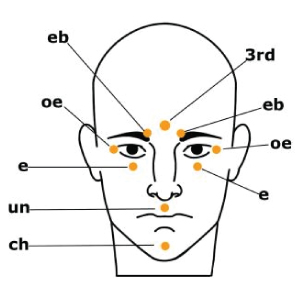 face-points-quantum-techniques-chart