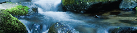 quantum-techniques-faq-tech-support-rocks-with-moss-in-river